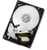 Hitachi 500GB Deskstar